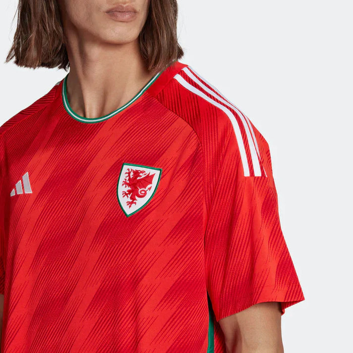 Wales 22 | World Cup | Home