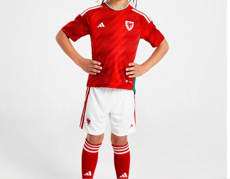 Wales 22-23 | World Cup | Kids | Home