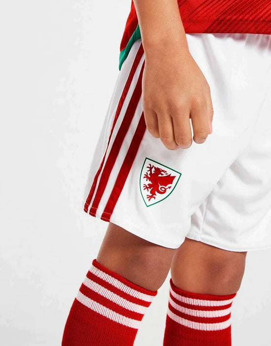 Wales 22-23 | World Cup | Kids | Home